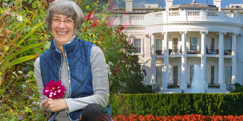 resident in a garden in front of the whitehouse